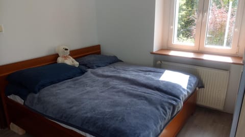 Willa Alba Apartment in West Pomeranian Voivodeship, Poland