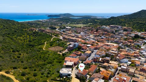 Bird's eye view, Location