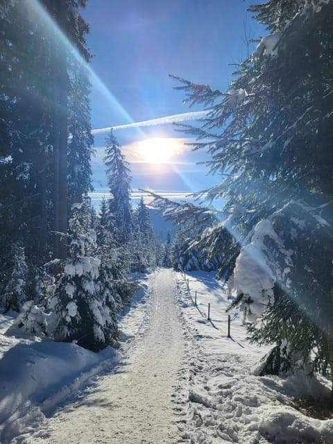 Pension Lärchenbrunn Bed and Breakfast in Salzburgerland