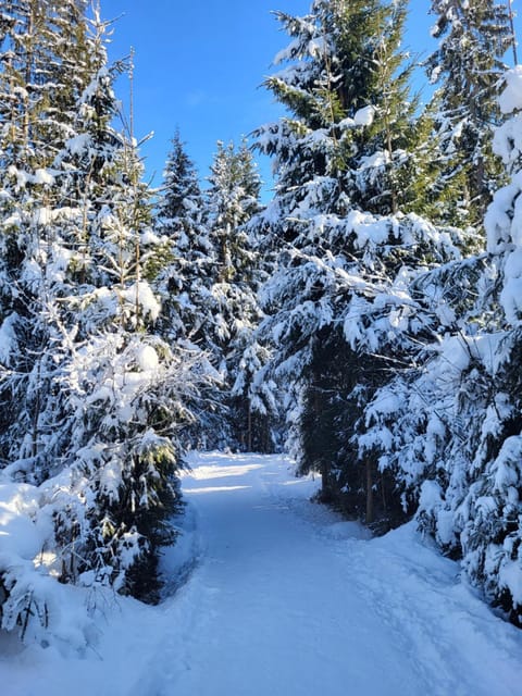 Pension Lärchenbrunn Bed and Breakfast in Salzburgerland