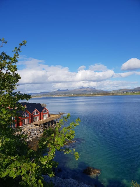 Olav Bua House in Lofoten