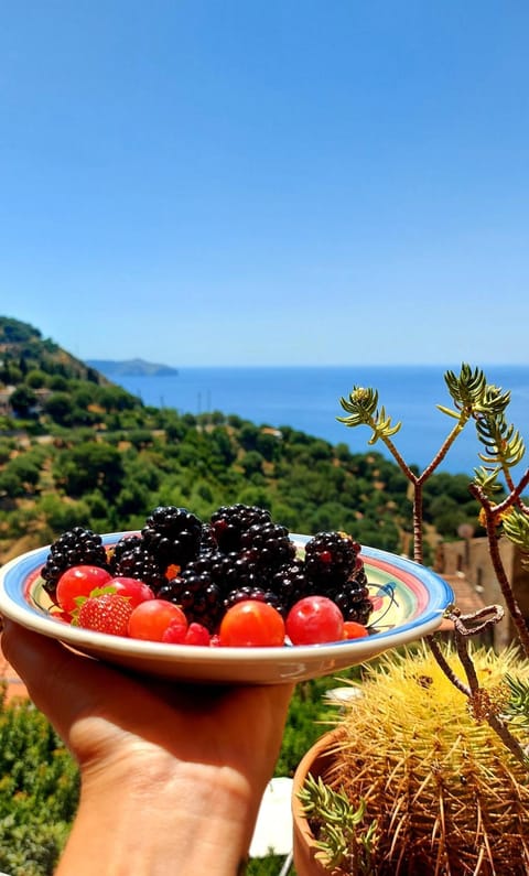 Food close-up, Breakfast