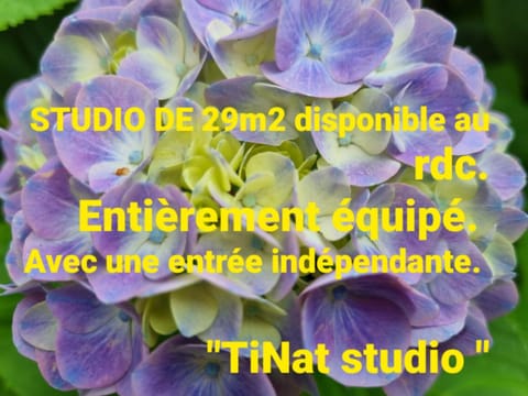 TiNat chambre Bed and Breakfast in Douarnenez