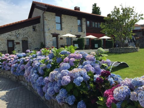 Garden, Garden, Garden view
