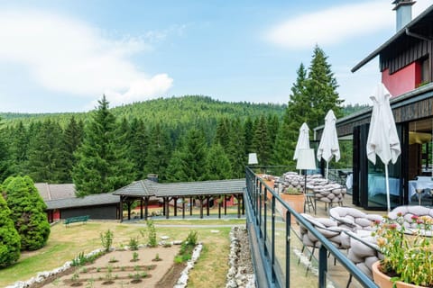 Property building, Patio, Natural landscape, Garden, View (from property/room), Food and drinks, Garden view, Mountain view