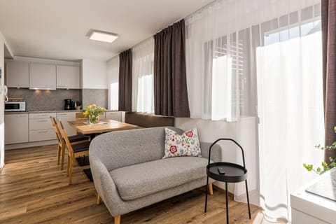 TV and multimedia, Balcony/Terrace, Kitchen or kitchenette, Living room, Photo of the whole room, Seating area, Dining area, Mountain view, River view, Family