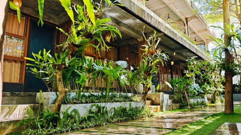 Pondok Baruna Frangipani Bed and Breakfast in Nusapenida