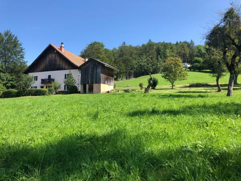 Property building, Spring, Summer, Garden