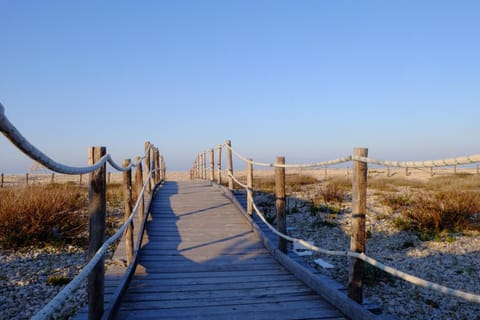 Neighbourhood, Beach
