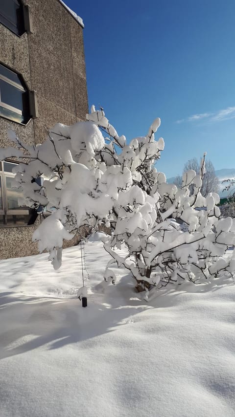 Property building, Winter