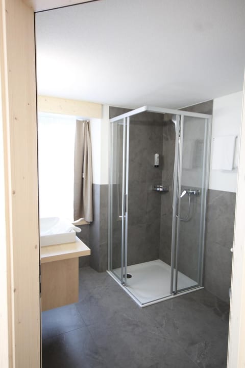 Hotel Alpina Hotel in Canton of Grisons