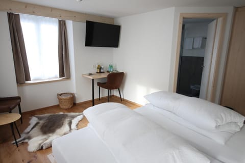 Hotel Alpina Hotel in Canton of Grisons