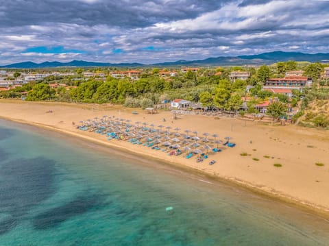 Day, Bird's eye view, Beach