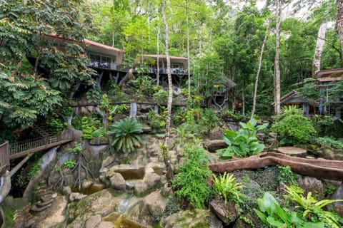Natural landscape, Garden view