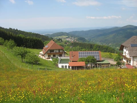 Property building, Natural landscape, Mountain view