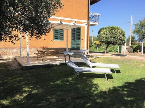 Spring, Day, Natural landscape, Garden, Garden view, sunbed