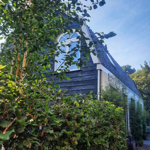 Property building, Day, Garden
