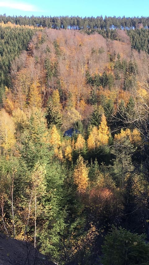 Natural landscape, Bird's eye view