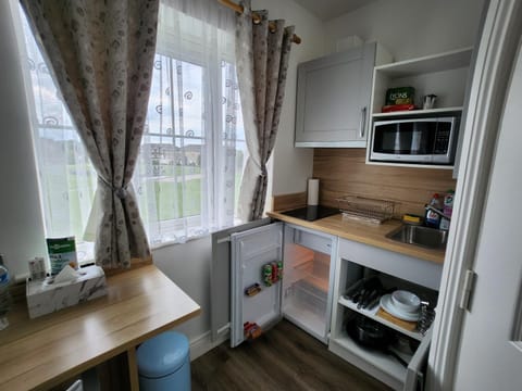 Cozy Room,Private Bathroom,Private Kitchynete Vacation rental in Dublin