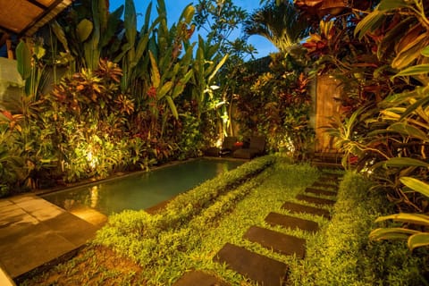 Night, Natural landscape