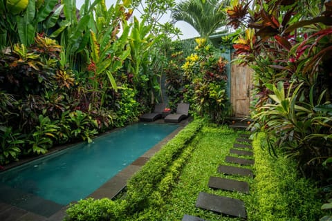 Garden, Pool view, Swimming pool