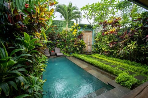 Natural landscape, Garden, Swimming pool