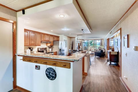 Spacious And Modern 2Br Premier- The Pines- Kids Ski Free Condo Apartment in Keystone