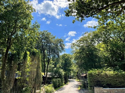 Spring, Day, Natural landscape, Garden, Garden view