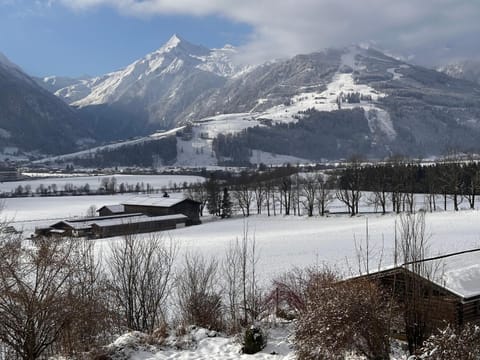 Haus Wenger Mountain View & Swimming Pool Apartment in Piesendorf