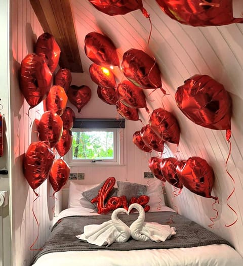 The Pod-Hot Tub-Woodland Lodges-St Clears-Carmarthen Chalet in Wales