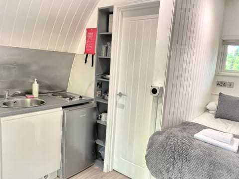 The Pod-Hot Tub-Woodland Lodges-St Clears-Carmarthen Chalet in Wales