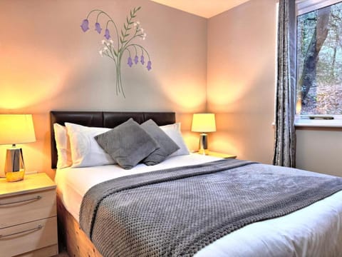 BlueBell 16-Hot Tub-Woodland Lodges-Pembrokeshire Chalet in Wales