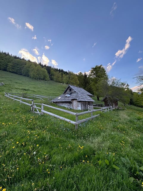 Property building, Spring, Day, Natural landscape