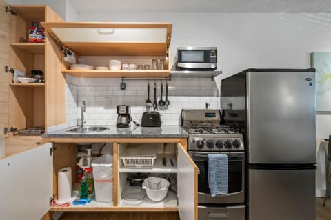 Kitchen or kitchenette, minibar, pet friendly, stove, toaster