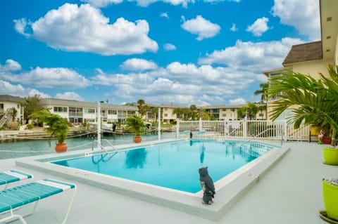 Pool view, Swimming pool, Swimming pool, sunbed