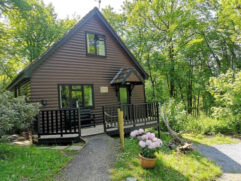 PrancingHare Lodge-Woodland Lodges-Pembrokshire Chalet in Wales
