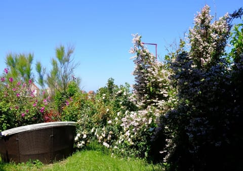 Sea Wind and Sun Apartment in Wimereux