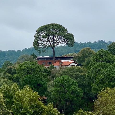 Cabaña Quinta Gaes Spa Nature lodge in Mazamitla