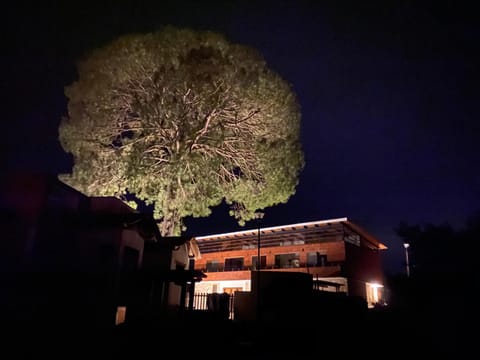 Cabaña Quinta Gaes Spa Nature lodge in Mazamitla