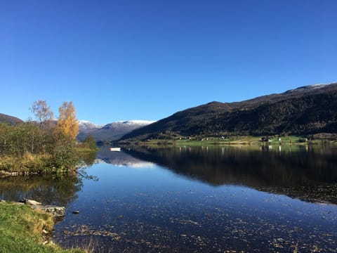 Lake view