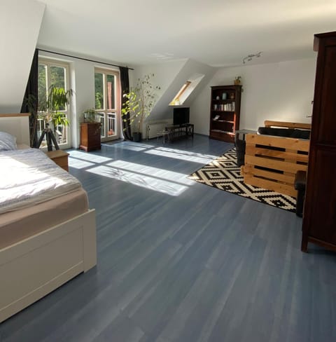 Zentrale Ferienwohnung Anker im Sonnenblumenhaus Apartment in Flensburg