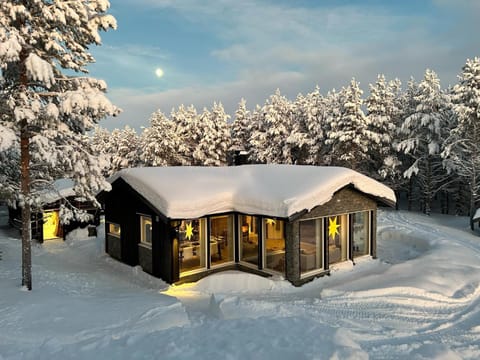 Property building, Day, Winter, Garden