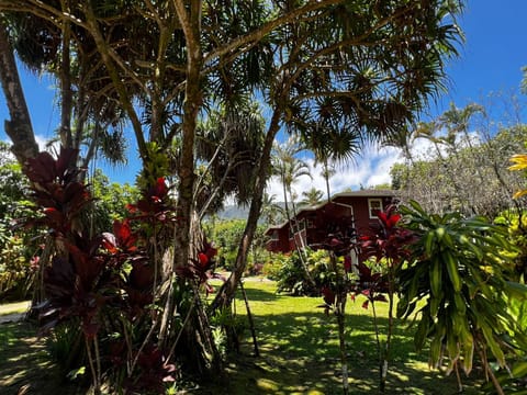 River Estate Riverhouse House in Kauai