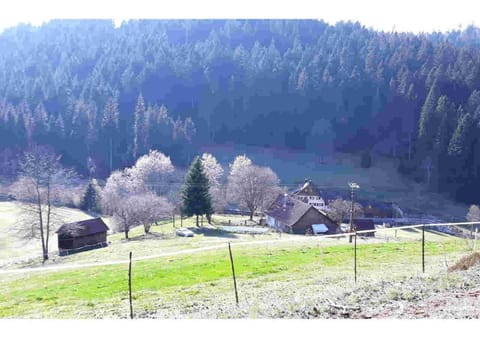 Natural landscape
