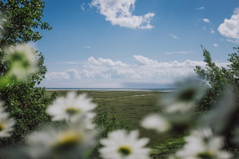 Natural landscape, Sea view