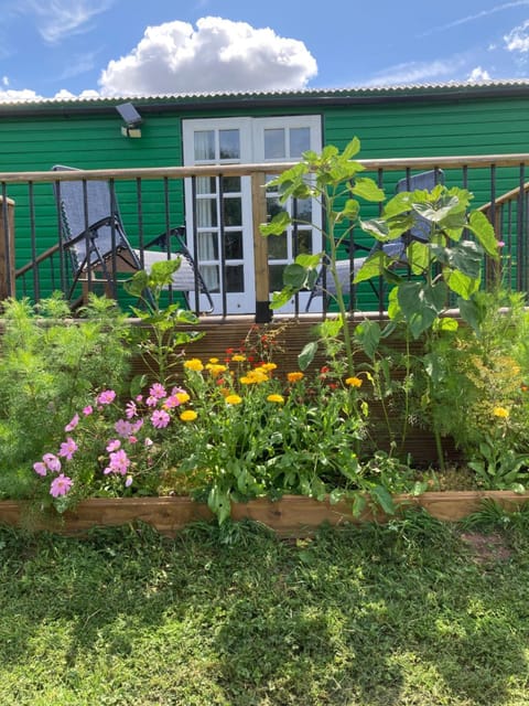 Shepherds Hut (Benny's) House in East Devon District