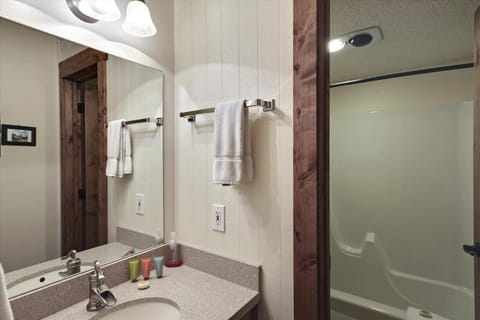 Skiwatch 437 House in Breckenridge