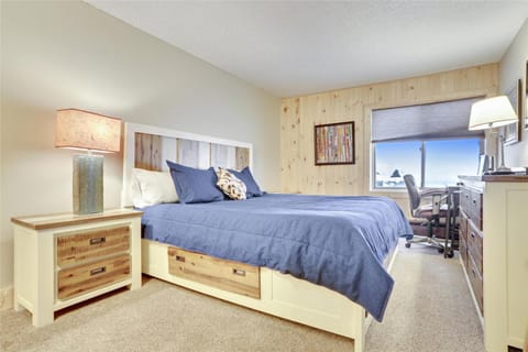 Skiwatch 102 House in Breckenridge