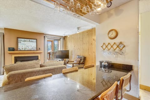 Skiwatch 107 House in Breckenridge