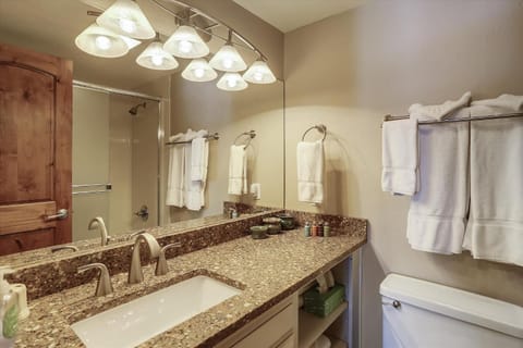 Skiwatch 317 House in Breckenridge